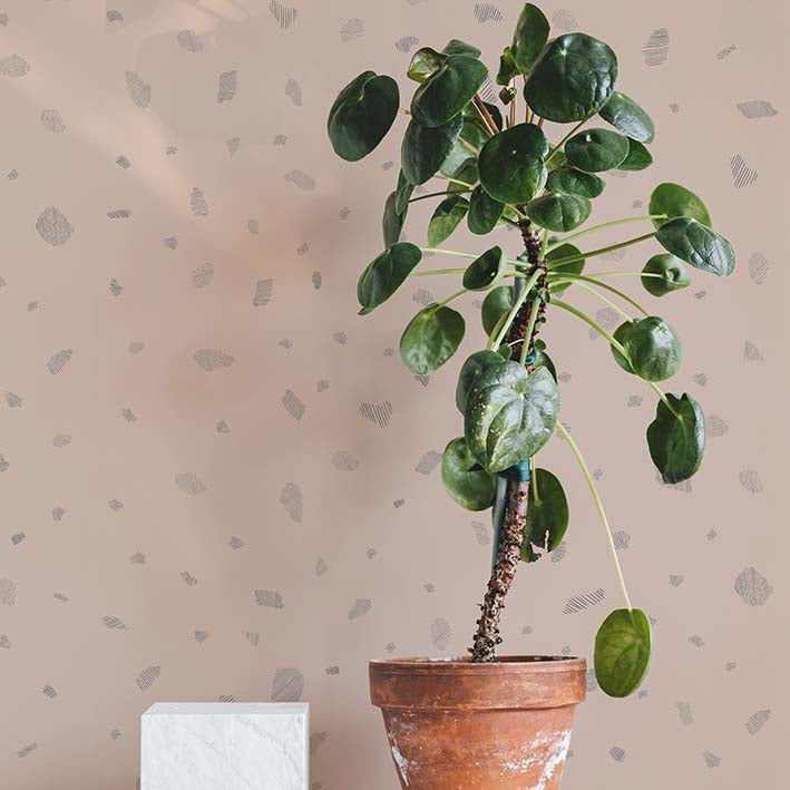 Slate Wallpaper in Pink Granite